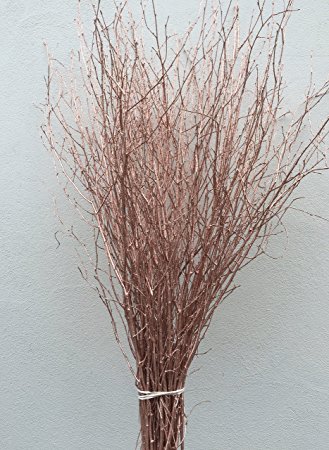 White Birch Branches, 21 assorted pieces varying is length from 2 inches to  about 10, with diameters from 1/4- 2 inches