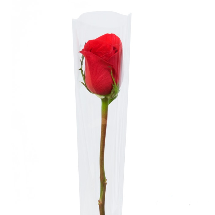 Single Rose Clear Sleeve – The Florist Supply Shop